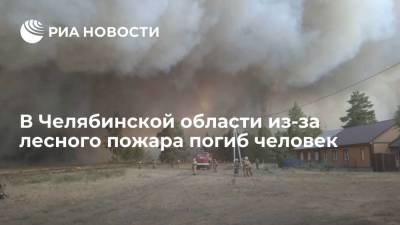 Тело мужчины нашли в обгоревшем доме на месте лесного пожара в Челябинской области