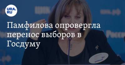 Памфилова опровергла перенос выборов в Госдуму