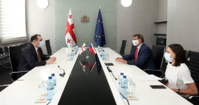 Глава минобразования Грузии обсудил вопросы расширения сотрудничества с послом Чехии