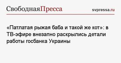 «Патлатая рыжая баба и такой же кот»: в ТВ-эфире внезапно раскрылись детали работы госбанка Украины