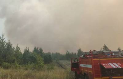 В Тольятти вспыхнул масштабный лесной пожар