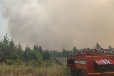 Лесной пожар вспыхнул под Тольятти