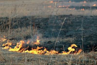 В Тольятти введен режим ЧС из-за лесного пожара
