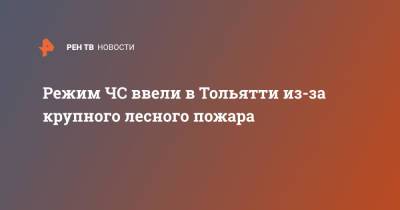 Режим ЧС ввели в Тольятти из-за крупного лесного пожара