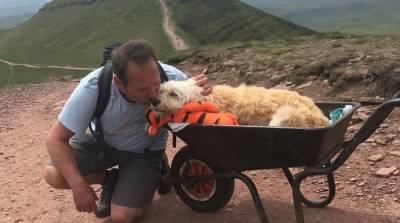 Слишком больно: хозяин не смог вылечить своего пса, но показал ему в последний раз горы (Фото)