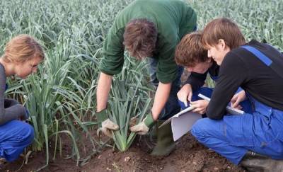 В Тюменской области школьники участвуют в работе сельского хозяйства