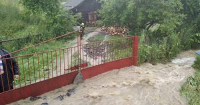 На Закарпатье в результате сильных ливней затопило дороги и дворы (ФОТО)
