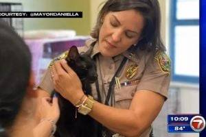 Две недели под завалами: во Флориде после обрушения дома нашли живую кошку