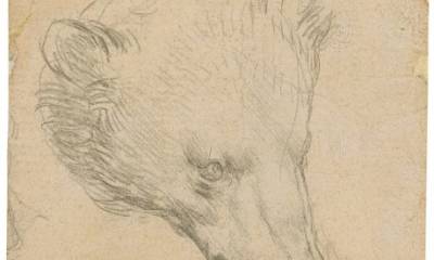 Малюнок Леонардо да Вінчі «Голова ведмедя» продали на аукціоні за понад $12 мільйонів