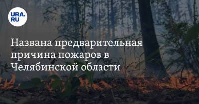 Названа предварительная причина пожаров в Челябинской области