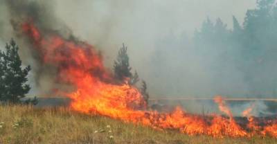 Названа возможная причина масштабных природных пожаров в Челябинской области