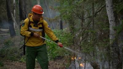В Якутии за сутки удалось ликвидировать 37 лесных пожаров