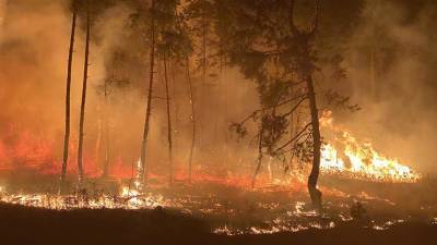 Спасатели локализовали пожары в двух районах Челябинской области