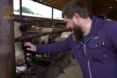 Кадыров показал фермерское хозяйство благотворительного фонда Чечни
