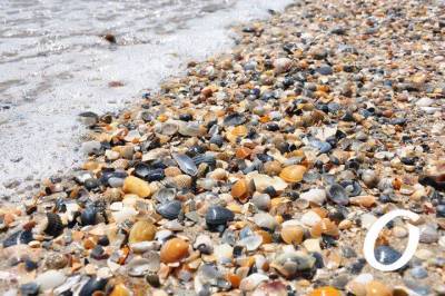 Температура морской воды в Одессе 11 июля: каким будет воскресное море
