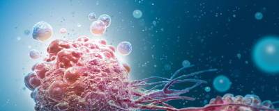 Ученые МГУ определили способность раковых клеток выживать при недостатке кислорода