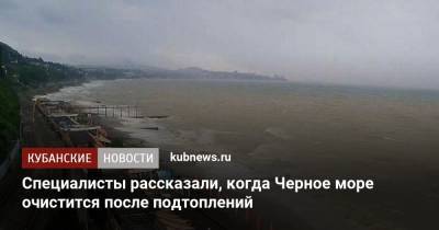 Специалисты рассказали, когда Черное море очистится после подтоплений