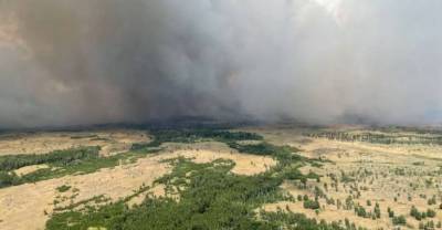 В Челябинской области локализовали природные пожары на площади 14 тыс. га