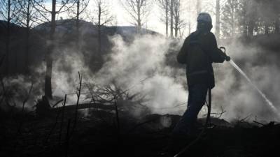 Пожарные локализовали лесные пожары на площади 14 тыс. га в Челябинской области