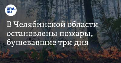 В Челябинской области остановлены пожары, бушевавшие три дня