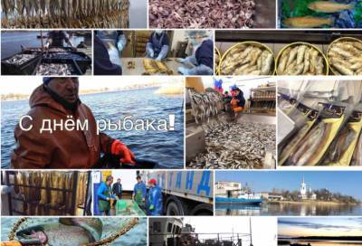 Стало известно, с какими показателями добычи водных ресурсов Ленобласть встретила День рыбака