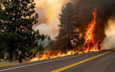 В Калифорнии из-за рекордной жары вспыхнули лесные пожары