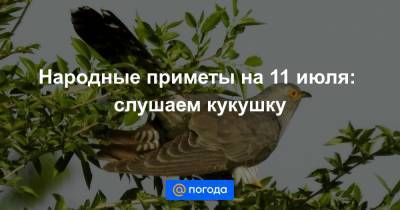 Народные приметы на 11 июля: слушаем кукушку