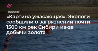 «Картина ужасающая». Экологи сообщили о загрязнении почти 1500 км рек Сибири из-за добычи золота