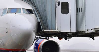В московском аэропорту пассажир выпустил аварийный трап из-за задержки рейса
