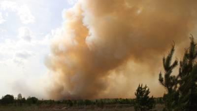 Пожар охватил 152 га леса в Тольятти