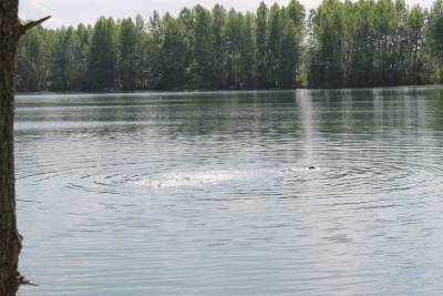 В Башкирии в пруду утонули двое мужчин