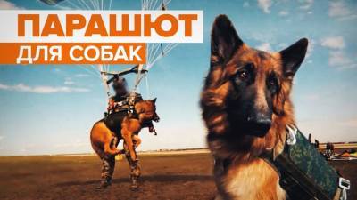 В России разработали систему десантирования для служебных собак
