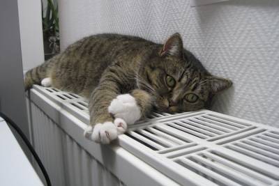 Коммунальщики снова включат отопление в жару в нескольких домах Петербурга