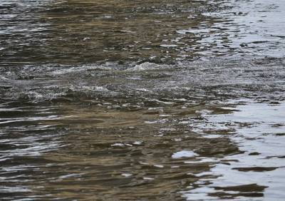 Мужчина, утонувший в озере под Рязанью, погиб на глазах у отца