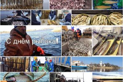 В 2021 году в Ленобласти на 11% вырос объем вылова рыбы
