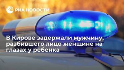 Полицейские в Кирове задержали мужчину, разбившего лицо женщине на глазах у ребенка
