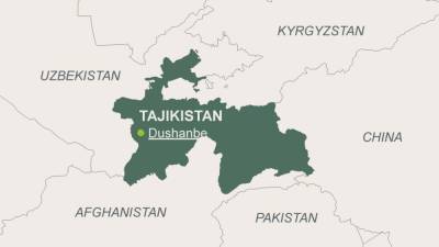 Таджикистан спасётся от талибов только в составе РФ – депутат Думы