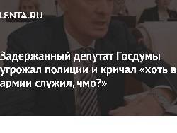 Задержанный депутат Госдумы угрожал полиции и кричал «хоть в армии служил, чмо?»