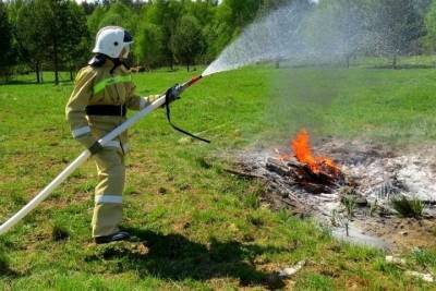 12 раз на прошедшей неделе добровольцы помогали тушить пожары в Смоленской области