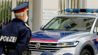 Около 13 человек пострадали в Австрии из-за врезавшегося в рынок пенсионера