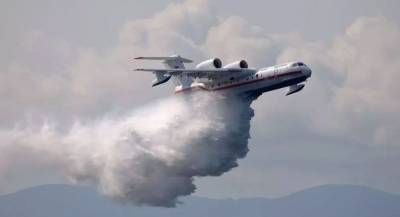 Из-за крупного лесного пожара в Тольятти объявлен режим ЧС – Учительская газета