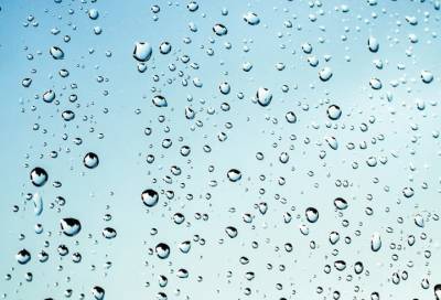 Жителей Ленобласти ожидают кратковременные дожди 12 июля