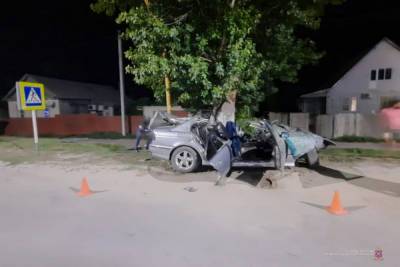 В Волгоградской области водитель БМВ врезался в дерево и погиб