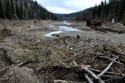 Из-за добычи золота загрязнены 1,5 тыс. км рек в Сибири