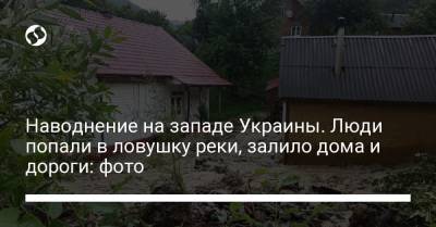 Наводнение на западе Украины. Люди попали в ловушку реки, залило дома и дороги: фото