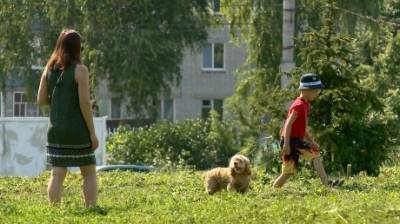 В зоне для выгула собак на ул. Карпинского сохранят все деревья