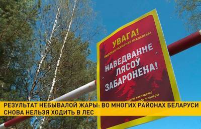 Запрет на посещение лесов вступил в силу в 75 районах Беларуси