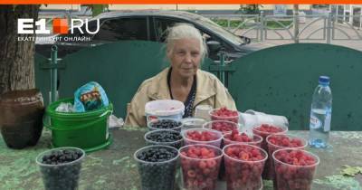 «Бабки к ягодке опять»: почем малина и черника на уличных рынках Екатеринбурга