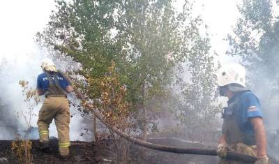 В Тольятти огонь занял более 15 га леса