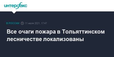 Дмитрий Азаров - Николай Ренц - Все очаги пожара в Тольяттинском лесничестве локализованы - interfax.ru - Москва - Самарская обл. - Магнитогорск - Тольятти